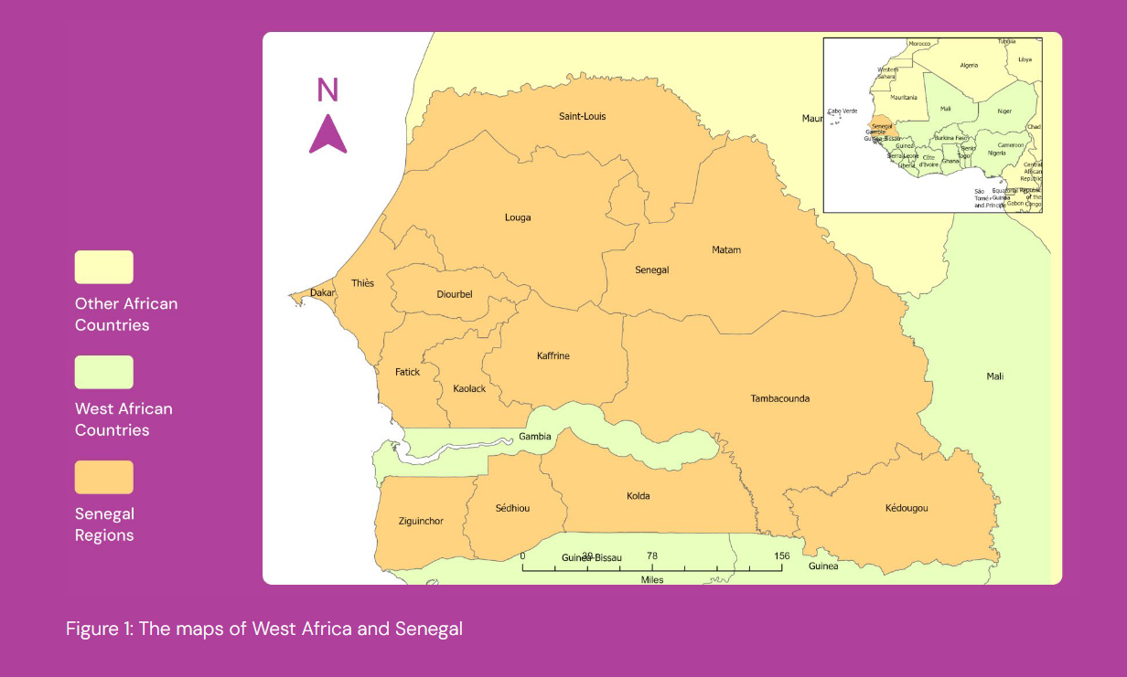 DDI Research Products